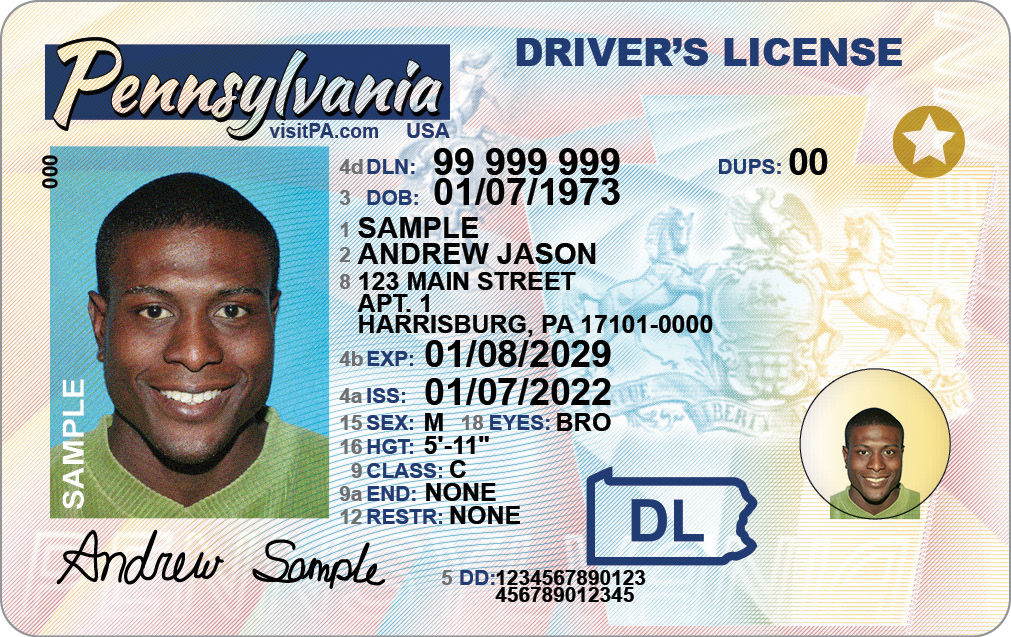 Real Driver's  fake License Online