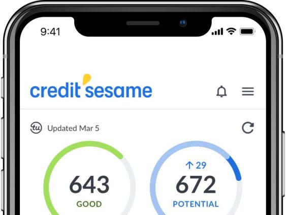 Novelty Credit score solutions